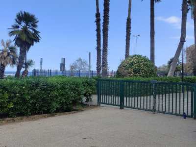 Nel quartiere Madonnella ha sede dal 2013 la prima area cani aperta a Bari. � posta all�interno del Giardino Veterani dello Sport. La sua posizione vista mare la rende tra le pi� appetibili della citt� e gli animali possono giocare in aiuole abbastanza ombreggiate